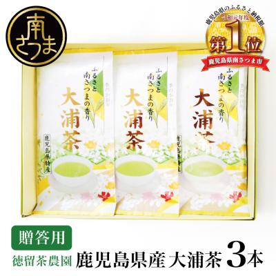 ふるさと納税 南さつま市 鹿児島県産緑茶 大浦茶 一番茶 3本セット(100g×3) [贈答用]
