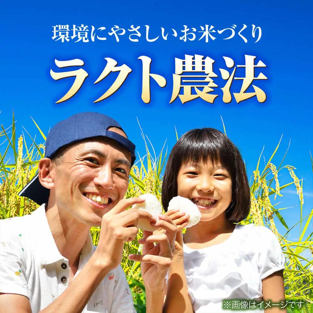 【令和8年産 新米】 【 先行予約 /9月中旬から発送】　福井県産 ラクト農法 コシヒカリ 玄米 10kg×2 （20kg）/ 米 お米 精米 国産米 /  小浜市 / 北川博司 [BFDG007]