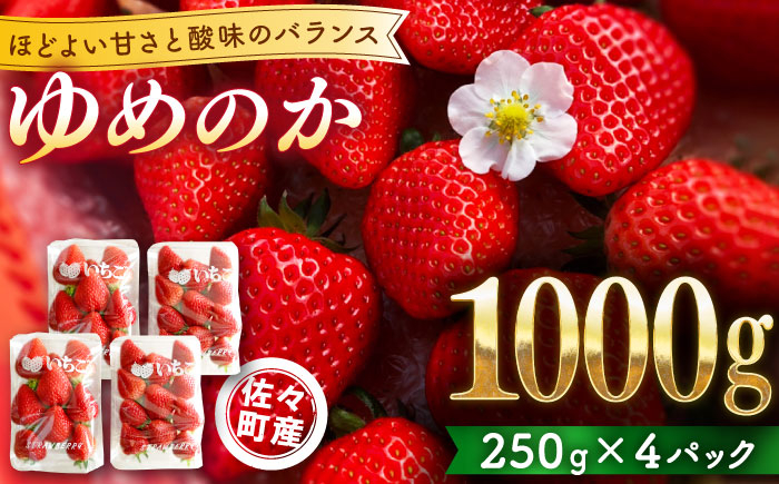 
            【先行予約・1月発送開始】佐々町産 いちご 「ゆめのか」約1.0kg （250g×4パック）【市丸農園 いちご研究室】 [QBF001]
          