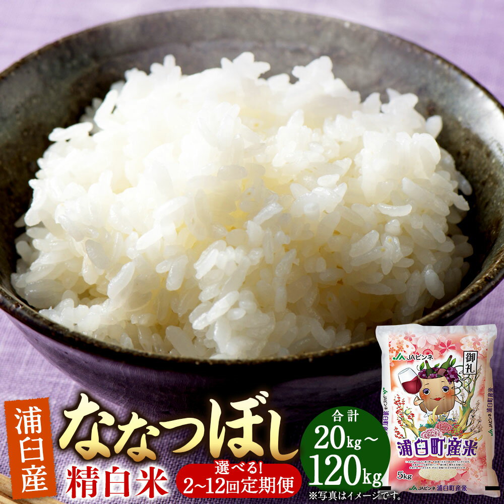 【ふるさと納税】《選べる定期便：2～12回》＜令和8年産＞浦臼産ななつぼし 精白米 10kg（5kg×2袋） 米 お米 こめ おこめ コメ ブランド米 ごはん ななつぼし 白米 精米 定期 定期便 北海道産 浦臼産 北海道 浦臼町 送料無料 【2026年10月下旬より順次発送】