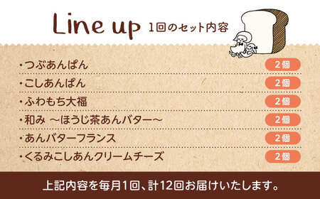 【12回定期便】 あんこ好きの食べ比べ 12個セット 【パンの店 カッタン】 パン あんぱん 大人気店[MEJ012]