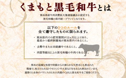 【定期便 全3回】くまもと黒毛和牛焼肉500g 阿蘇牧場 黒毛和牛 和牛 国産 牛肉 ブランド牛 人気 美味しい 焼肉 希少 ジューシー 熊本 阿蘇 定期便