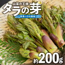 【ふるさと納税】《先行予約》タラの芽　約200g【2025年1月25日以降～発送予定】