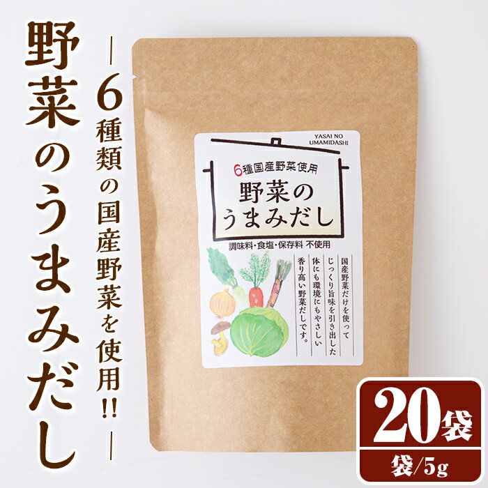 【ふるさと納税】野菜のうまみだし(100g・5g×20袋) だしパック 出汁 出汁パック ダシ 椎茸 しいたけ シイタケ キャベツ 人参 大根 玉ねぎ ごぼう 個包装 小分け 離乳食 介護食 炊き込みご飯 鍋 調味料不使用 塩分不使用 保存料不使用 常温 常温保存【ksg1585】【宝山九州】