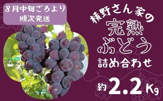 
                  BV2　横野さん家の「完熟ぶどう」の詰合せ　約 2.2㎏   【 数量限定 ブドウ 葡萄 詰め合わせ セット 贈答 藤稔 紫玉 ピオーネ シャインマスカット ギフト 自宅用 】
                