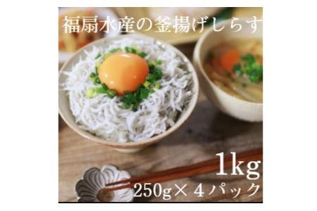 釜揚げしらす1kg（250g×４パック）【福扇水産】(B498-1)