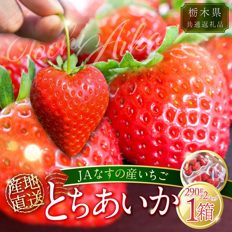 【ふるさと納税】【栃木県共通返礼品】JAなすの産いちご 産地直送 とちあいか 1箱（290g×2パック）【数量限定】 栃木県 那須塩原市 いちご 果物 フルーツ とちあいか オリジナル 品種 甘い デザート ビタミンC 葉酸 ハート形 送料無料