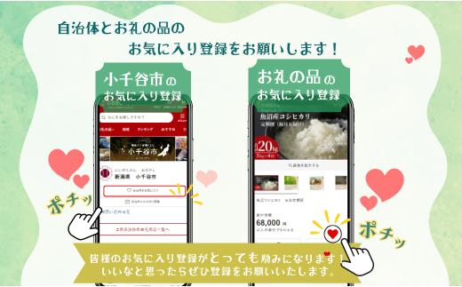 あられ おかき ホットサラダ 6袋セット 米菓 竹内製菓 | おかき あられ おやつ お菓子 おつまみ つまみ 新潟県 小千谷市 【0002-0435SV01】