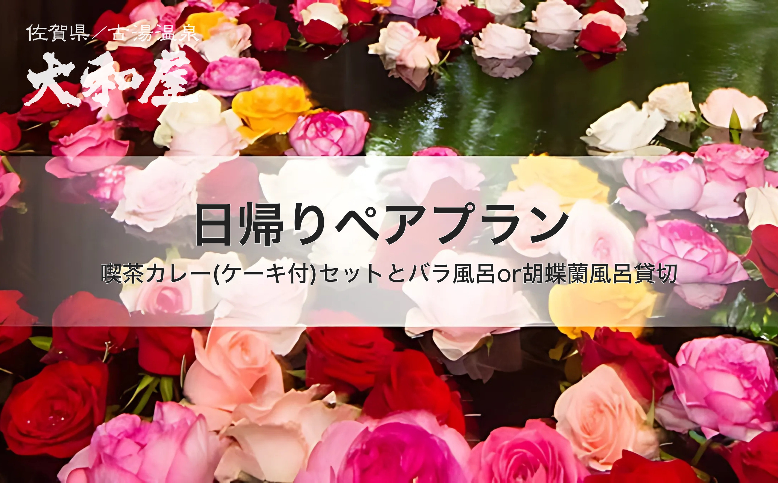 
                  旅館 大和屋 日帰りペアプラン 喫茶カレー(ケーキ付)セットとバラ風呂or胡蝶蘭風呂貸切
                