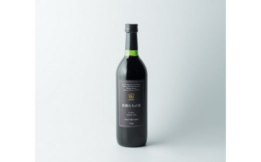 ヤマブドウ100％果汁「妖精たちの宴」3本セット ノンアルコール / ぶどう 岡山県 真庭市 ジュース ワイン 蒜山 【hwine004-02】