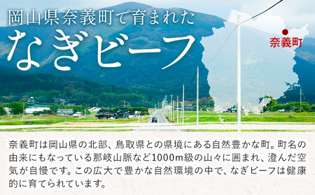 奈義和牛 モモ バイヤーおすすめ！ すき焼き用 450g 株式会社 天満屋《30日以内に出荷予定(土日祝除く)》岡山県 矢掛町 和牛 牛肉 肉 モモ すき焼き 送料無料