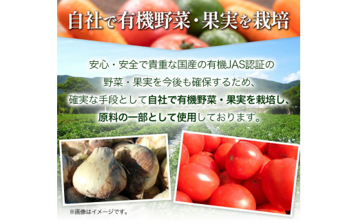 【12ヶ月定期便】 ジンジャーエール 250ml×30缶 光食品株式会社 定期 計12回お届け 《お申込み月の翌月から出荷開始》 徳島県 上板町 ジュース 炭酸水 光食品 ジンジャーエール オーガニッ