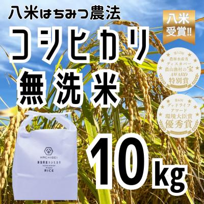 ふるさと納税 阿賀野市 【令和7年産】HACHIBEI 八米 はちみつ農法コシヒカリ 無洗米10kg