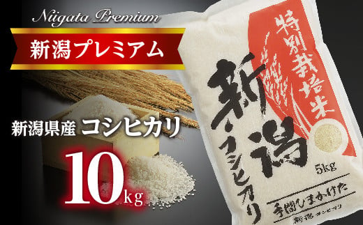 
【令和6年産】新潟プレミアム 特別栽培米 コシヒカリ 白米10kg FC019025
