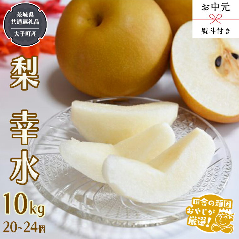 【ふるさと納税】【 お中元 熨斗付 】幸水10kg （20～24個） 【令和6年8月から発送開始】 （茨城県共通返礼品 [梨]：大子町産） 梨 幸水 フルーツ 果物 旬