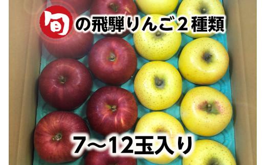 【数量限定】≪9月中旬～順次発送≫ 飛騨リンゴ 3kg（7～12玉入り）おまかせ２品種 食べ比べ | 果物 りんご リンゴ 林檎 フルーツ 旬 飛騨高山 ぜんぞう果樹園 FX001