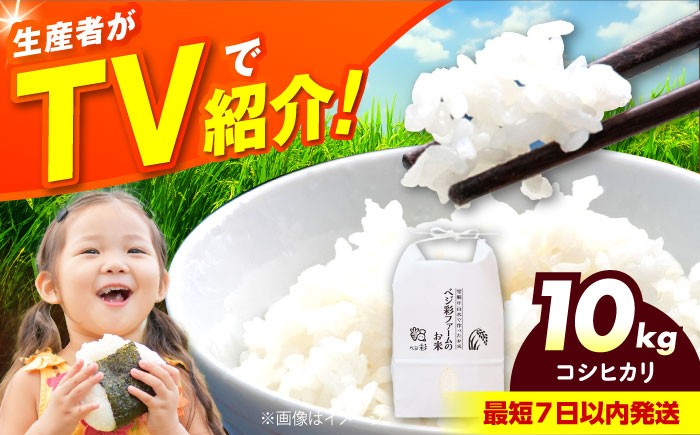 
            令和6年産 お米 10キロ コシヒカリ こしひかり 米 お米 白米 コメ おこめ 10kg 大阪府高槻市/ベジ彩ファーム [AOEJ013]
          