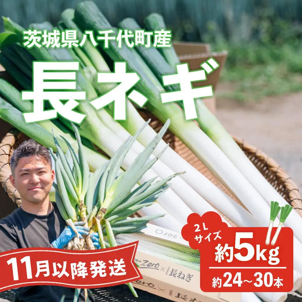 2026年11月下旬以降発送 長ネギ 2L 約5kg 約24-30本 農家直送 