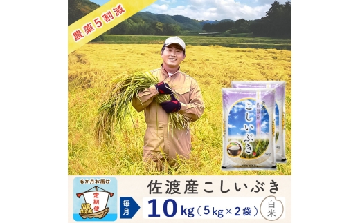 【令和8年産新米 6ヶ月】佐渡島産こしいぶき 白米 10kg(5kg×2袋） ～農薬5割減～