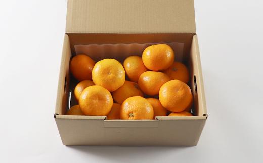 ハウスみかん約2kg（バラ詰め） みかん 温州 温州みかん 温州ミカン 2kg 甘い 柑橘類 糖度 6月 7月 ハウスみかん フルーツ 先行予約 九州 大分 杵築 ＜132-031＞