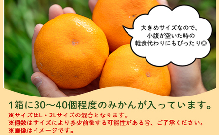 柑橘 山北みかん 大玉サイズ L・2L混合 約5kg 柑橘 yk-0079