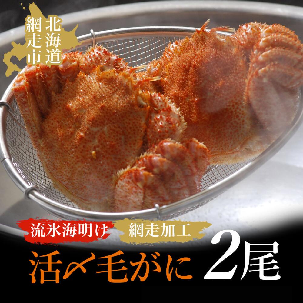 【ふるさと納税】流氷海明け活〆毛がに2尾（冷蔵便）【2025年4月中旬～発送開始予定】（網走加工）【 ふるさと納税 人気 おすすめ ランキング 毛がに 毛ガニ 毛蟹 カニ ガニ 蟹 海鮮 新鮮 かに味噌 カニ味噌 冷蔵 流氷明け オホーツク 北海道 網走市 送料無料 】 ABAO2129