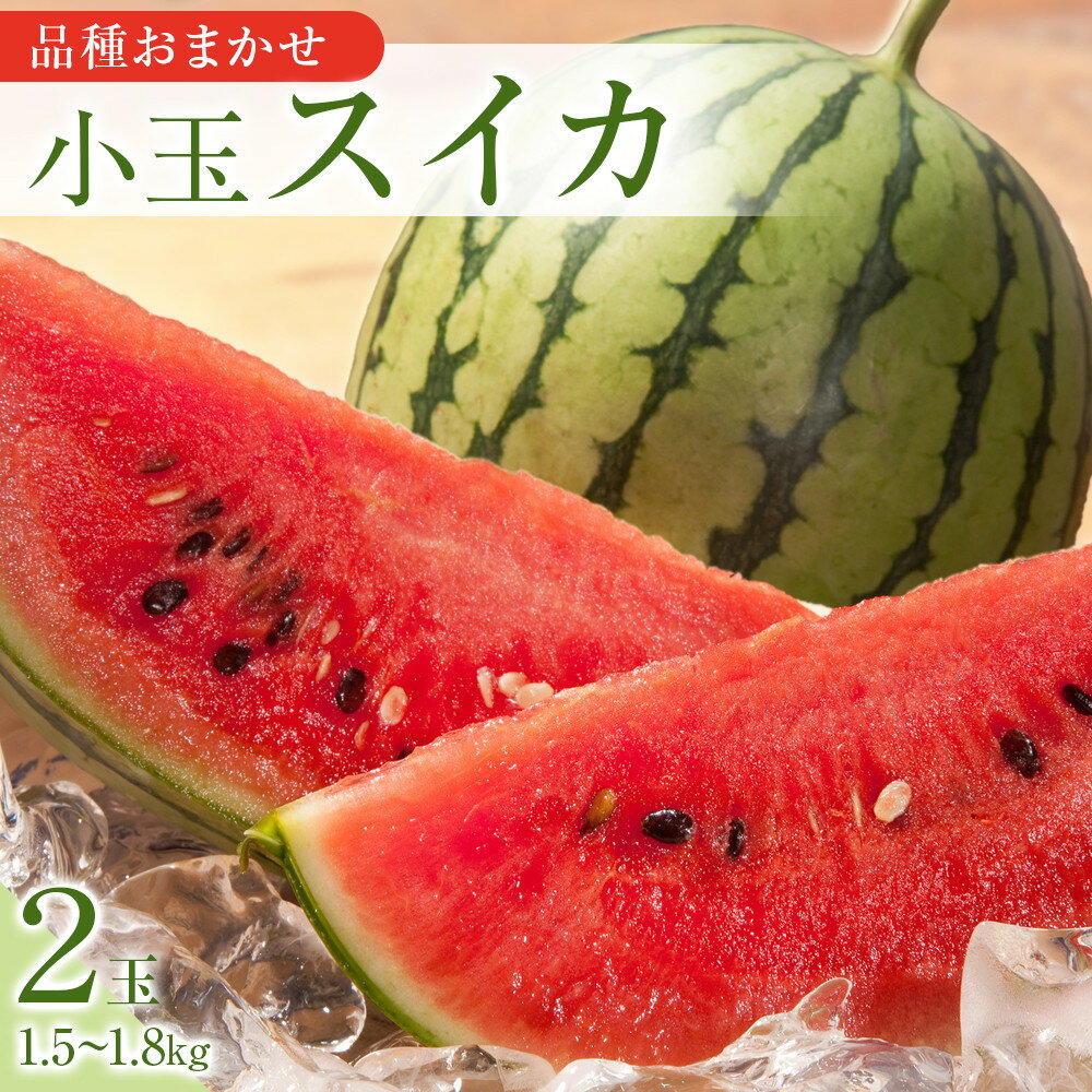 【ふるさと納税】250.【先行予約】【品種はおまかせ】小玉スイカ 2玉 ※6月上旬～8月中旬頃に順次発送予定 | おまかせ 西瓜 スイカ 小玉西瓜 果物 フルーツ くだもの 鳥取県 北栄町 おすすめ 人気 送料無料