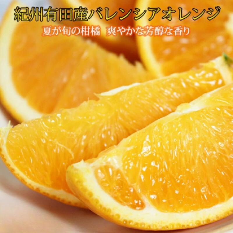 【ふるさと納税】 秀品 希少な国産バレンシアオレンジ 2.5kg 5kg 【選べる容量】 【先行予約】※2026年6月下旬頃～7月上旬頃順次発送予定（お届け日指定不可）/ オレンジ　フルーツ 果物 果実 みかん 柑橘 おれんじ ミカン