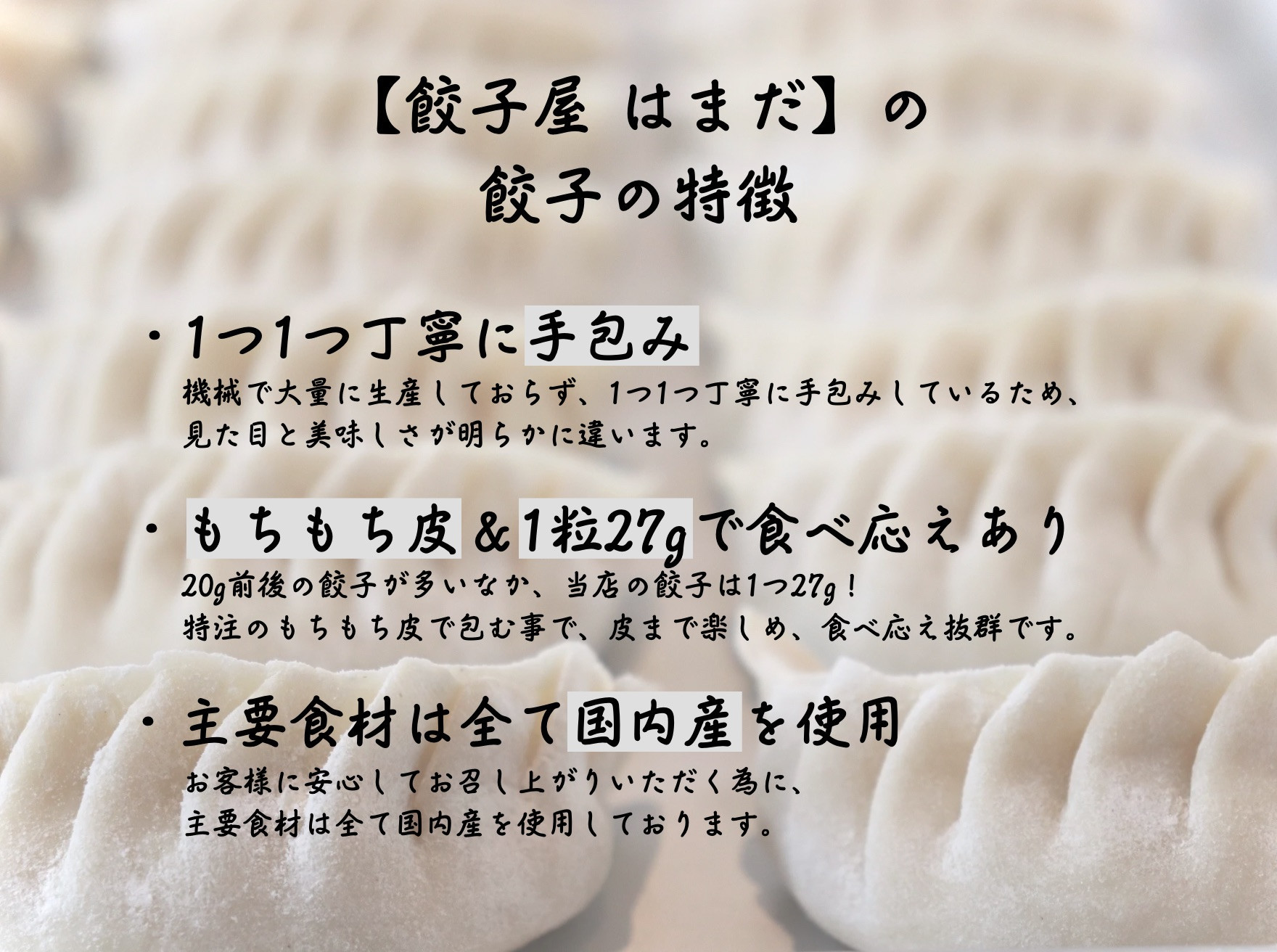 餃子 手包みにんにく餃子 Sパック 12個入り 餃子屋はまだ