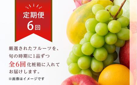 【全6回】極みのフルーツ定期便 (化粧箱入り)