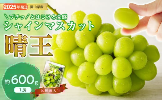 yy-36　シャインマスカット 晴王 秀品 約600g 1房 岡山県産 ぶどう御中元 ギフト 御礼 プレゼント 御礼 御祝 御供 果物 くだもの フルーツ