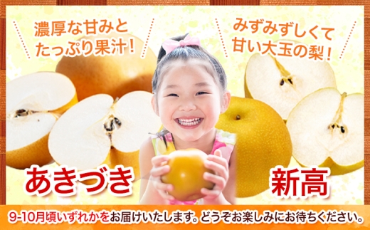 梨 荒尾梨 あきづき または 新高 ジューシー赤梨便 4kg 品種 なし フルーツ 果物 旬 《2026年8月下旬‐11月中旬頃出荷》熊本県 荒尾市 旬の梨 （品種指定不可）