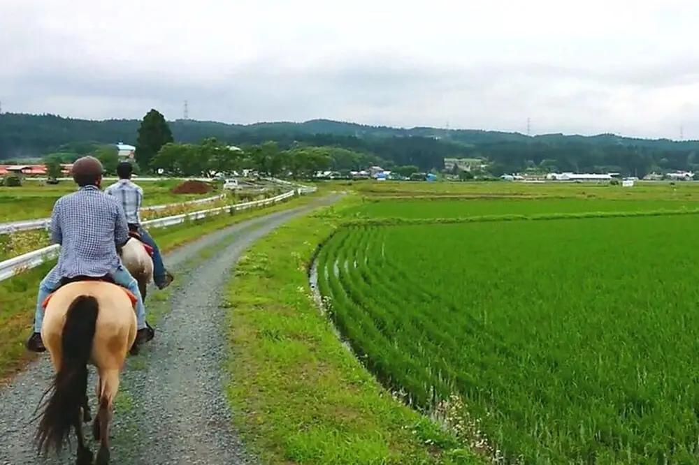 「駒の里」十和田で乗馬トレッキング45分（1名様分） レターパックプラス 青森県十和田市
