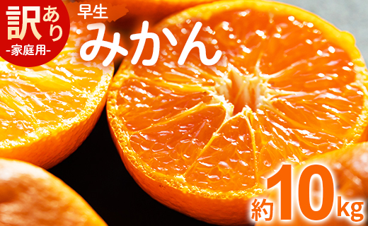 みかん 早生 約10kg 家庭用 訳あり 早生みかん - フルーツ みかん 柑橘 be-0072
