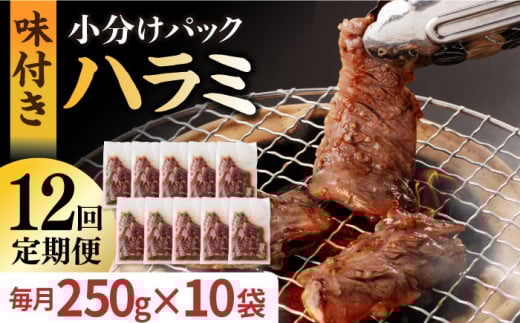 【全12回定期便】ハラミ【塩だれ】九州産和牛ハラミ 2.5kg（250g×10袋）長与町/岩永ホルモン [EAX091] 国産 牛肉 ハラミ 牛ハラミ はらみ 小分け 味付き サガリ 焼肉 焼き肉 塩 しお 冷凍 焼肉 焼き肉 やきにく 九州 定期便 ていきびん 定期