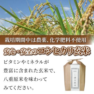 ふるさと納税 東御市 【令和7年産】八重原産 コシヒカリ 玄米 2kg【太陽と大地】 |  | 01