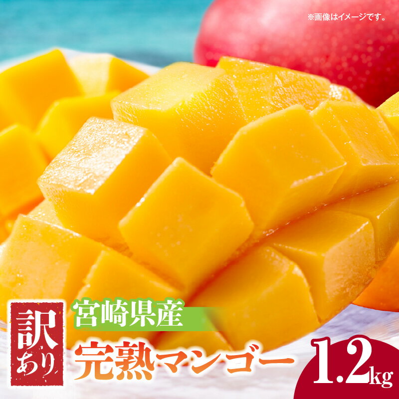 【ふるさと納税】《2025年発送》宮崎県産 訳あり 完熟マンゴー 1.2kg 果物 フルーツ 果実 果肉 青果物 農産物 デザート スイーツ ご褒美 おすそ分け おすすめ グルメ お取り寄せ ご家庭用 家庭用 旬 季節 旬の果物 季節の果物 南国フルーツ 宮崎県 宮崎市 送料無料
