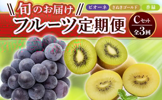 【旬のお届け フルーツ定期便 3回】Cセット ピオーネ 約1.2kg さぬきゴールド 約2.7kg 香緑 約3.0kg  F5J-795