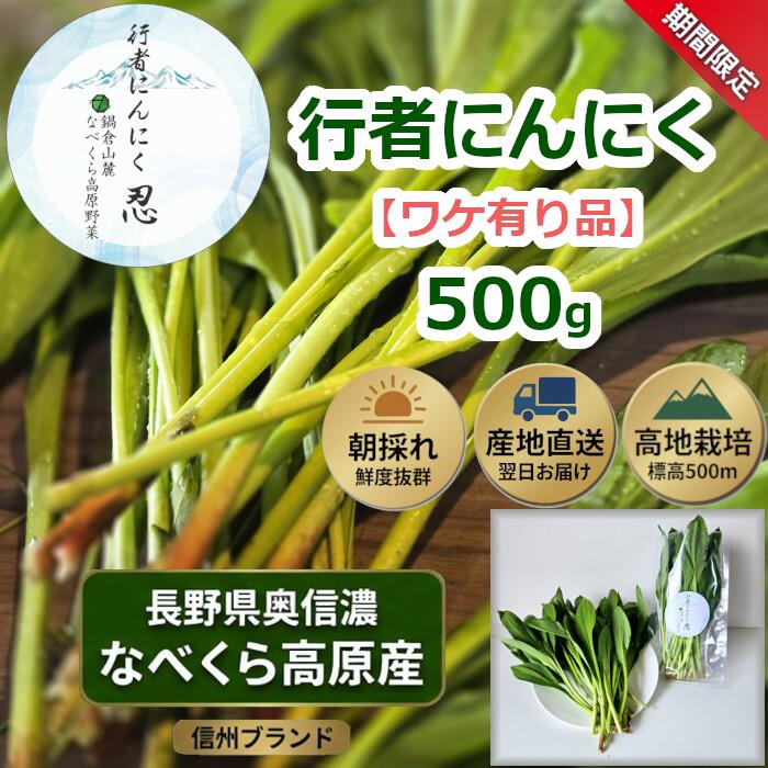 【ふるさと納税】【期間限定】＼訳あり／行者にんにく 500g 1箱 【 行者にんにく 直送 独自栽培 山菜 ビタミン 健康 人気 美味しい B品 オススメ 長野県 飯山市 】