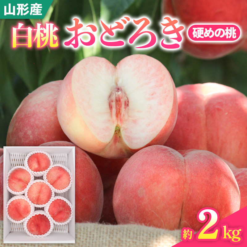 山形県産白桃おどろき 約2kg[硬めの桃]【令和8年産先行予約】FS25-149