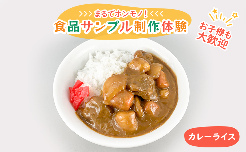 
[№5336-0105]食品サンプル 制作 体験 カレーライス
