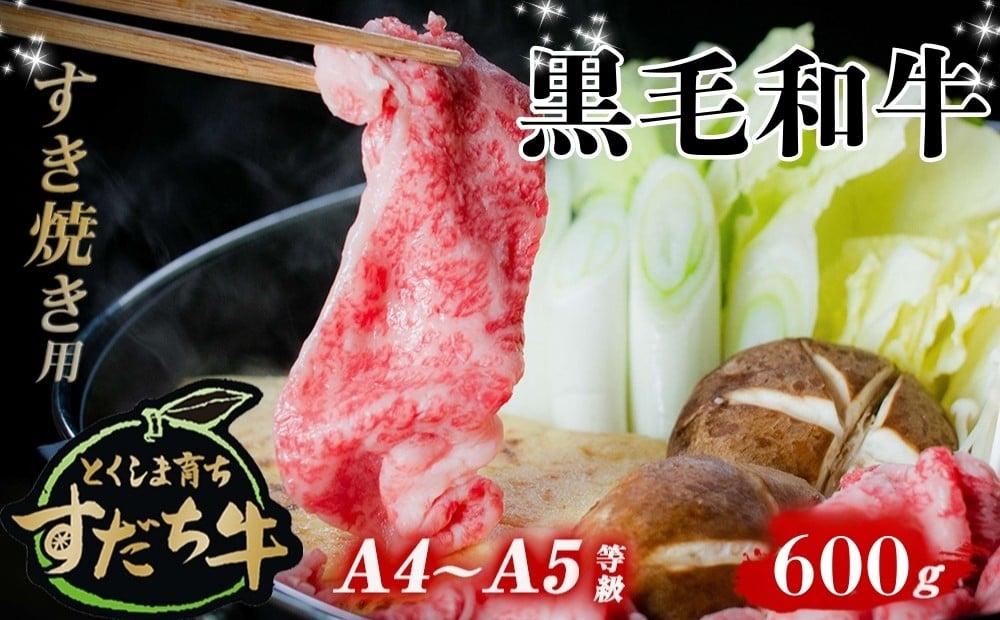 
すだち牛 黒毛和牛 （ すき焼き用 ） 600g 国産 牛肉 すき焼き 赤身 冷凍 お肉 肉 グルメ ギフト 和牛 霜降り カット 小分け
