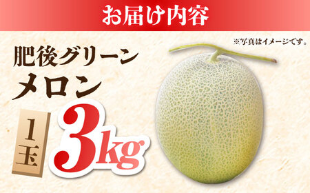【先行予約】【数量限定】肥後 グリーン メロン 糖度16度以上 1玉 約3kg【岡山農園】グリーンメロン メロン 熊本メロン 数量限定メロン 国産メロン めろん 肥後グリーンメロン 高糖度メロン[ZB