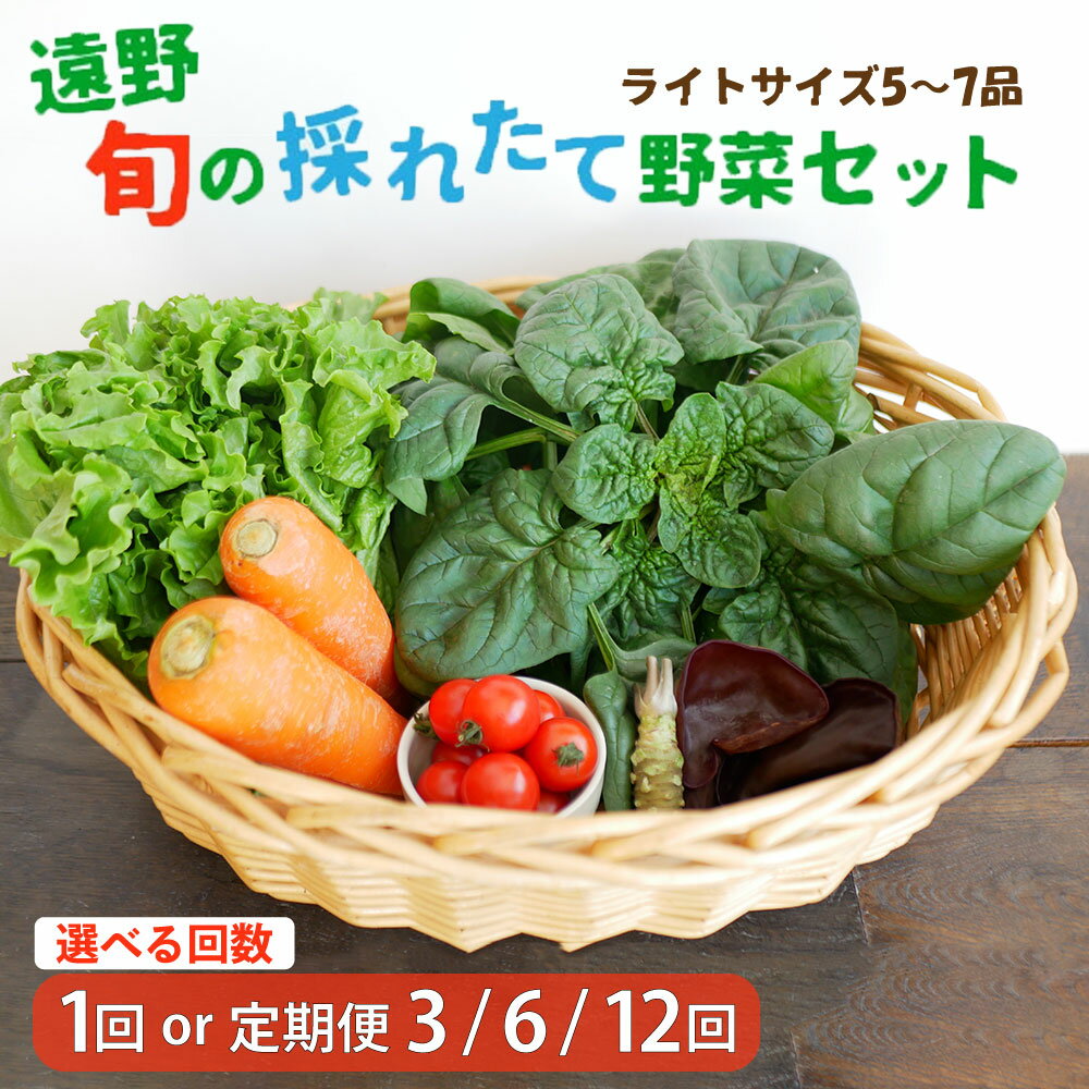 【ふるさと納税】野菜セット 旬の採れたて ライト サイズ（5〜7品）選べる回数 お試し 1回 定期便3・6・12回 こんたでぃーの遠野 岩手県 遠野市 産 やさい 詰め合わせ 新鮮 直送 旬 仕送り キャンプ アウトドア バーベキュー BBQ 料理 栄養 家庭 健康 お取り寄せ 送料無料