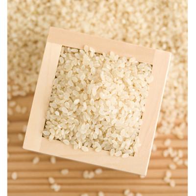 ふるさと納税 旭川市 【北海道旭川市】令和7年産ななつぼし5kg×1袋 5kg(無洗米 真空パック)_05238 |  | 01