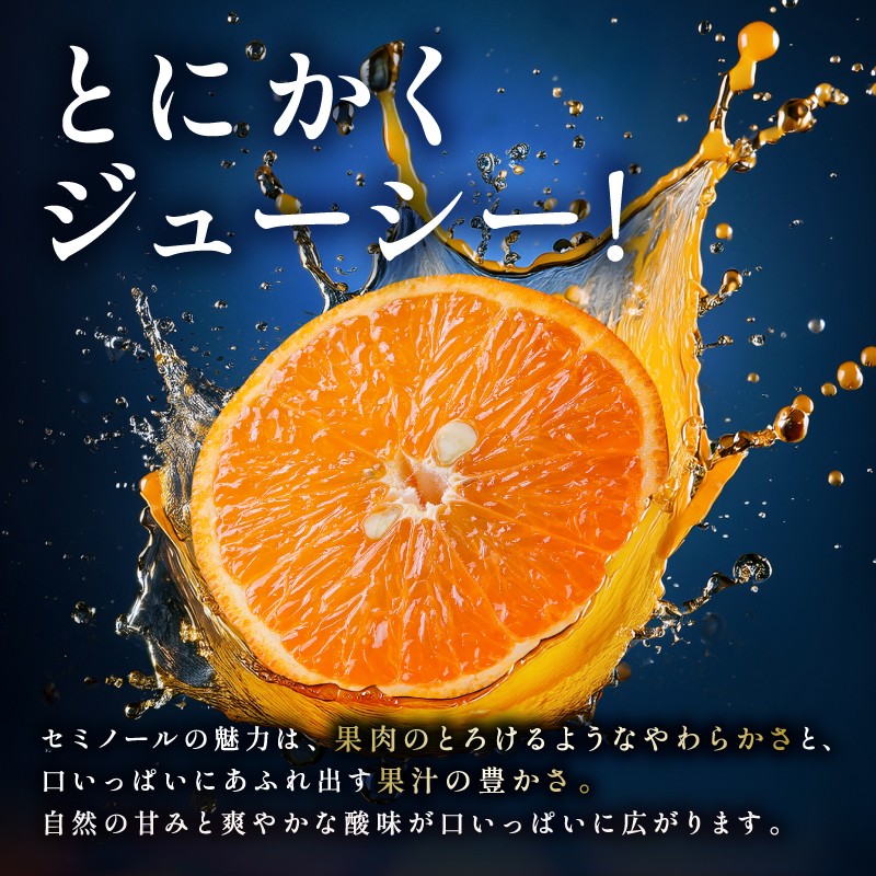 【2027年発送 先行予約品】
