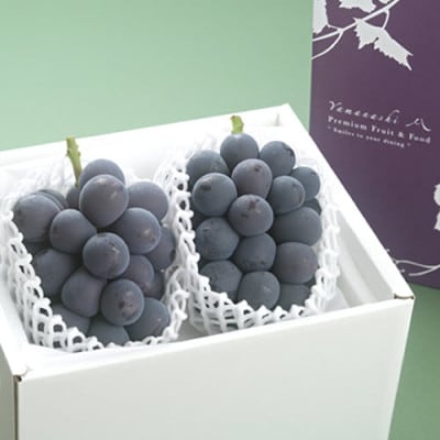 【2026年発送分先行受付】藤稔 ふじみのり (種なし) 2房 約1kg 話題の大粒ぶどう【配送不可地域：離島・沖縄県】