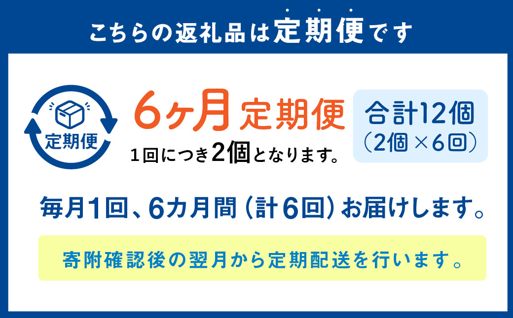 【1ヶ月毎6回定期便】 カムカムおこめチップス（しお） ボックスタイプ 計12個 （2個×6回） お菓子 スナック菓子