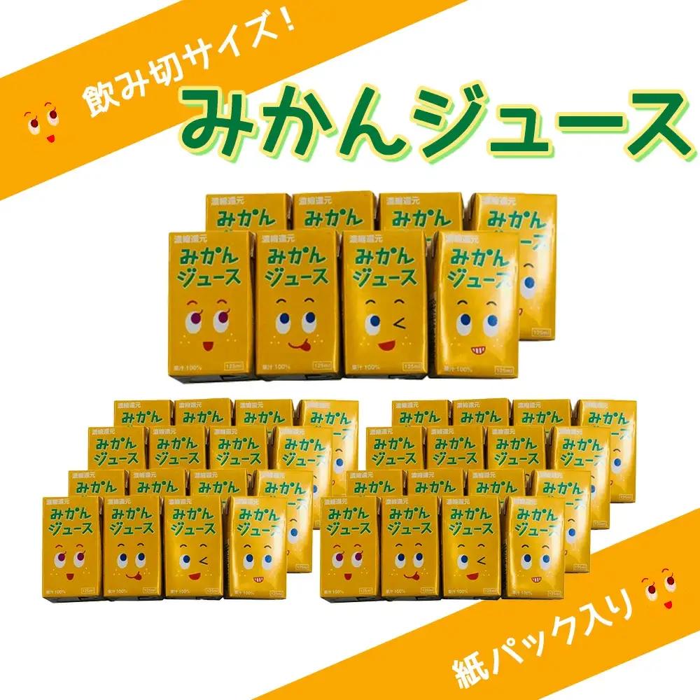 みかんジュース 125ml×40本 | みかんジュース オレンジ ジュース 津久見市