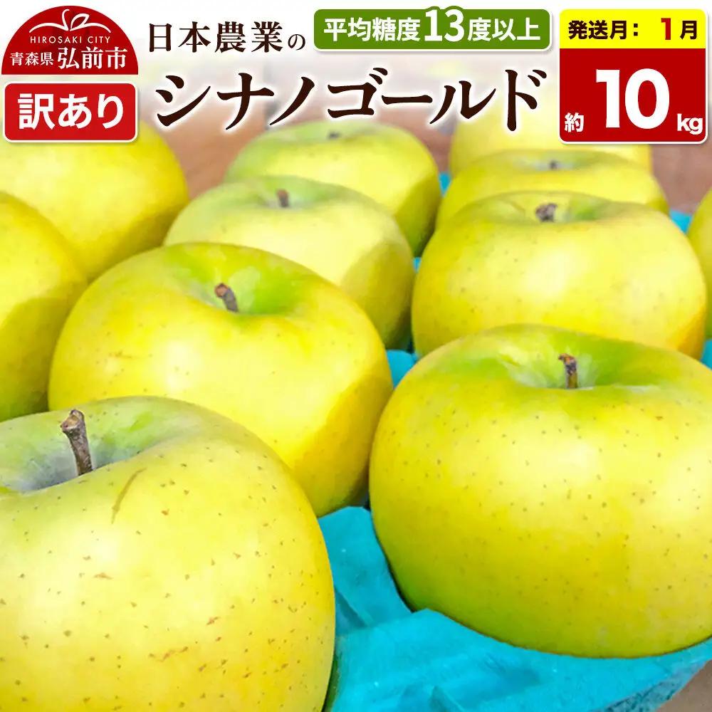 【27年1月発送】りんご シナノゴールド【訳あり】約10kg 平均糖度13度以上 青森県 弘前市 果物 フルーツ 林檎 リンゴ くだもの 不揃い 規格外